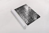 Sunlit Palms II by Debra Van Swearingen. shown as a rolled paper print. Available as archival giclee rolled canvas, fine art paper, or poster print. SKU 81258h.