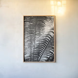 Sunlit Palms II by Debra Van Swearingen. shown as a paper print in a natural frame. Available as a archival giclee rolled canvas, fine art paper, or poster print. SKU 81258h.