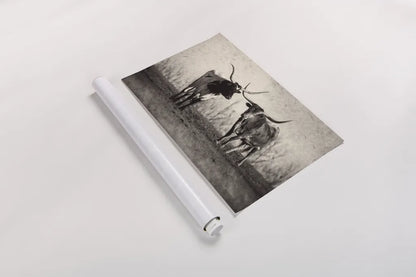 Texas Longhorns Crop by Debra Van Swearingen. shown as a rolled paper print. Available as archival giclee rolled canvas, fine art paper, or poster print. SKU 66104i.