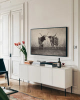 Texas Longhorns Crop by Debra Van Swearingen. shown as a framed stretched canvas in a living room above a console. Available as a archival giclee rolled canvas, fine art paper, or poster print. SKU 66104i.
