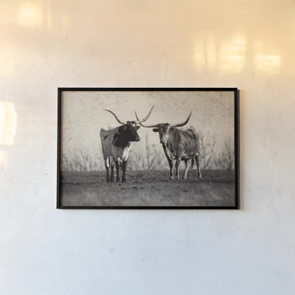 Texas Longhorns Crop by Debra Van Swearingen. shown as a paper print in a black flame. Available as a archival giclee rolled canvas, fine art paper, or poster print. SKU 66104i.