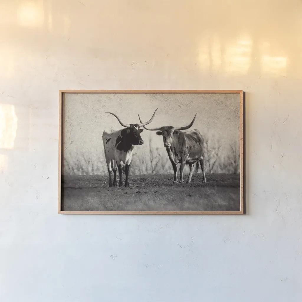 Texas Longhorns Crop by Debra Van Swearingen. shown as a paper print in a natural frame. Available as a archival giclee rolled canvas, fine art paper, or poster print. SKU 66104i.