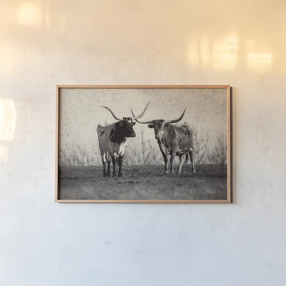 Texas Longhorns Crop by Debra Van Swearingen. shown as a paper print in a natural frame. Available as a archival giclee rolled canvas, fine art paper, or poster print. SKU 66104i.