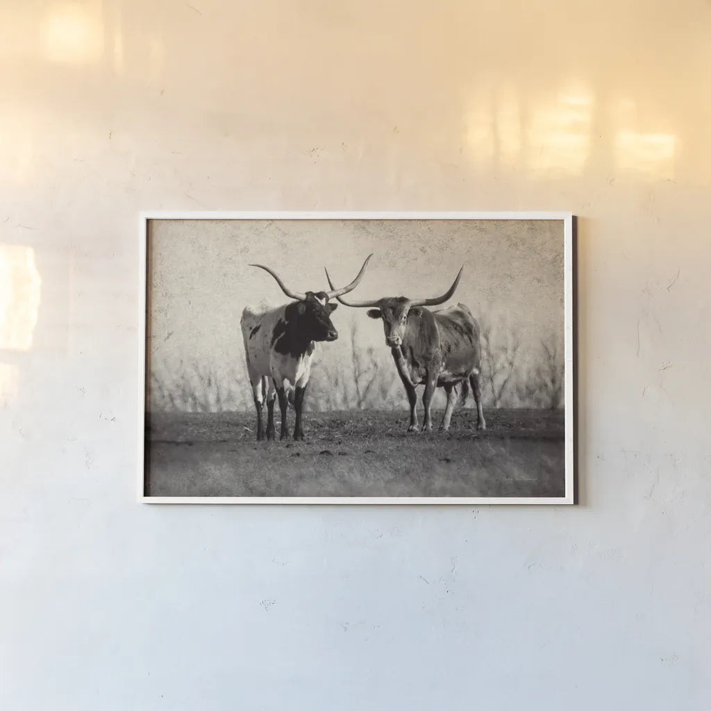 Texas Longhorns Crop by Debra Van Swearingen. shown as a paper print in a white frame. Available as a archival giclee rolled canvas, fine art paper, or poster print. SKU 66104i.