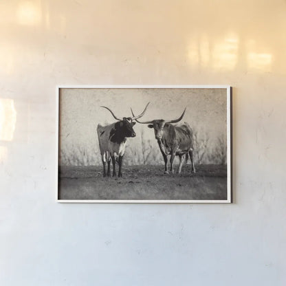 Texas Longhorns Crop by Debra Van Swearingen. shown as a paper print in a white frame. Available as a archival giclee rolled canvas, fine art paper, or poster print. SKU 66104i.