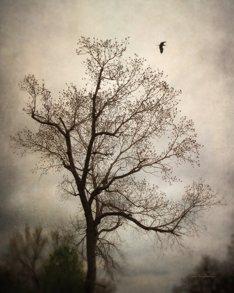 The Flyover by Debra Van Swearingen