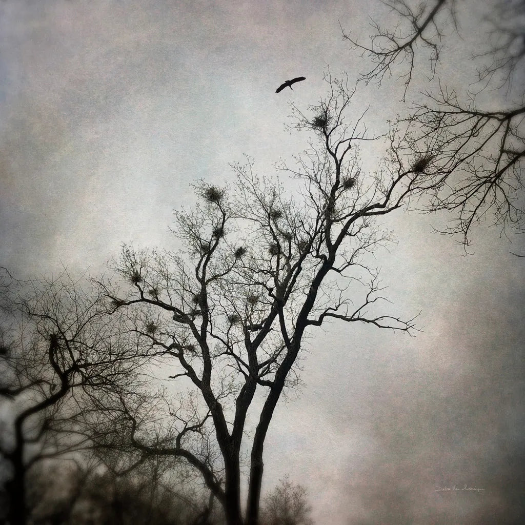 The Heron Rookery by Debra Van Swearingen. SKU 63818a. Archival Giclee Fine art print for wall decor.