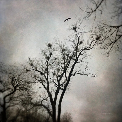 The Heron Rookery by Debra Van Swearingen. SKU 63818a. Archival Giclee Fine art print for wall decor.