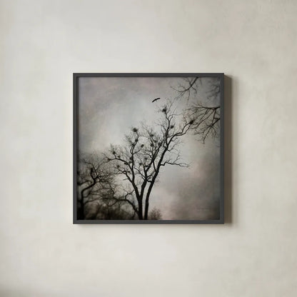 The Heron Rookery by Debra Van Swearingen. Shown in a sleek black glass frame for a contemporary gallery look. Available as an archival giclee rolled canvas, fine art paper, or poster print. SKU 63818a.