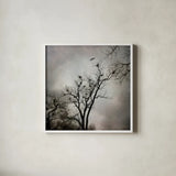 The Heron Rookery by Debra Van Swearingen. Shown in a crisp white glass frame for a clean and minimalist style. Available as an archival giclee rolled canvas, fine art paper, or poster print. SKU 63818a.