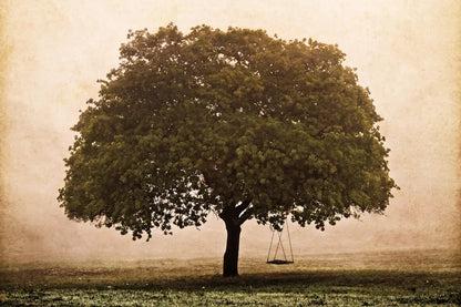 The Hopeful Oak by Debra Van Swearingen. SKU 45741i. Archival Giclee Fine art print for wall decor.