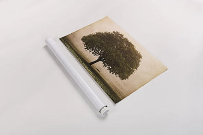 The Hopeful Oak by Debra Van Swearingen. shown as a rolled paper print. Available as archival giclee rolled canvas, fine art paper, or poster print. SKU 45741i.