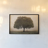 The Hopeful Oak by Debra Van Swearingen. shown as a paper print in a black flame. Available as a archival giclee rolled canvas, fine art paper, or poster print. SKU 45741i.