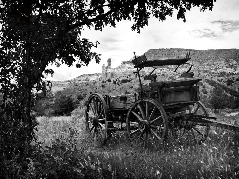The Old Southwest by Debra Van Swearingen