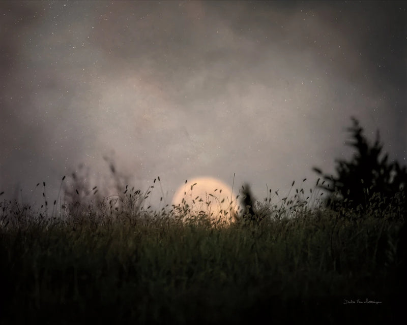 The Prairie Moon by Debra Van Swearingen