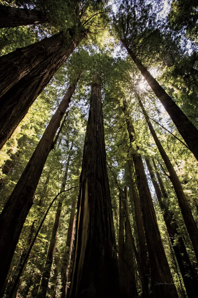 The Stand by Debra Van Swearingen. SKU 55172h. Archival Giclee Fine art print for wall decor.