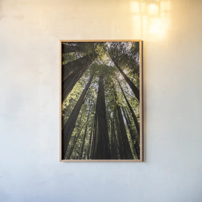 The Stand by Debra Van Swearingen. shown as a paper print in a natural frame. Available as a archival giclee rolled canvas, fine art paper, or poster print. SKU 55172h.