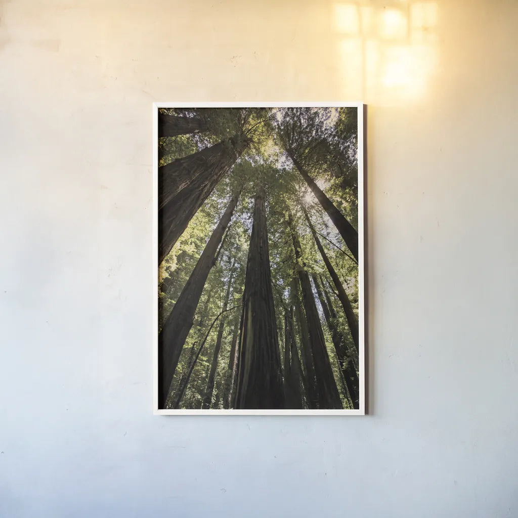 The Stand by Debra Van Swearingen. shown as a paper print in a white frame. Available as a archival giclee rolled canvas, fine art paper, or poster print. SKU 55172h.