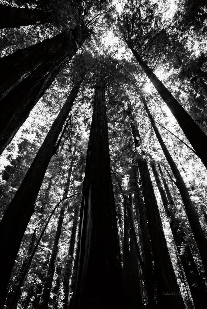 The Stand BW by Debra Van Swearingen. SKU 55173h. Archival Giclee Fine art print for wall decor.