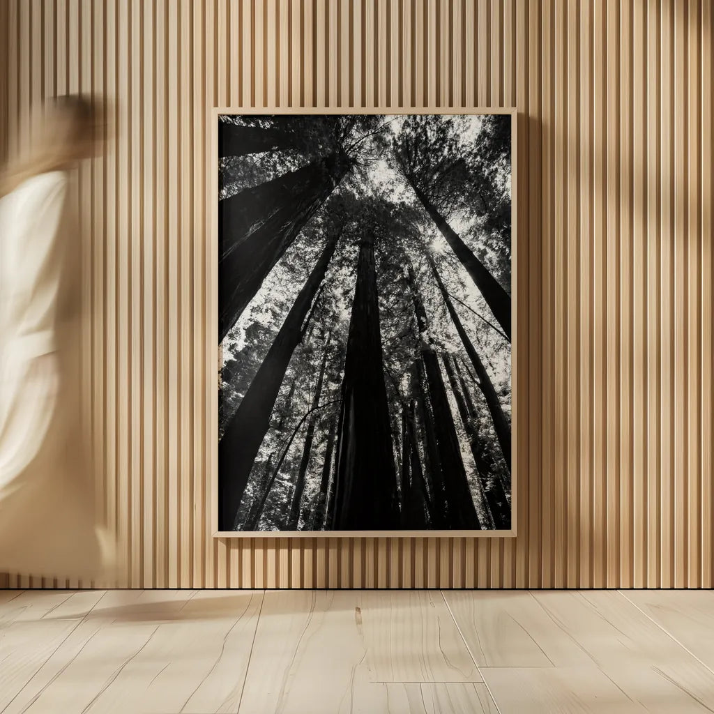 The Stand BW by Debra Van Swearingen. shown as over sized large wall art. Available as an archival giclee rolled canvas, fine art paper, or poster print. SKU 55173h.