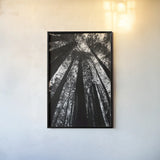The Stand BW by Debra Van Swearingen. shown as a paper print in a black flame. Available as a archival giclee rolled canvas, fine art paper, or poster print. SKU 55173h.