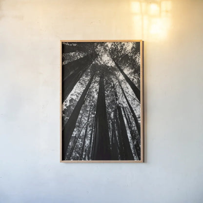 The Stand BW by Debra Van Swearingen. shown as a paper print in a natural frame. Available as a archival giclee rolled canvas, fine art paper, or poster print. SKU 55173h.
