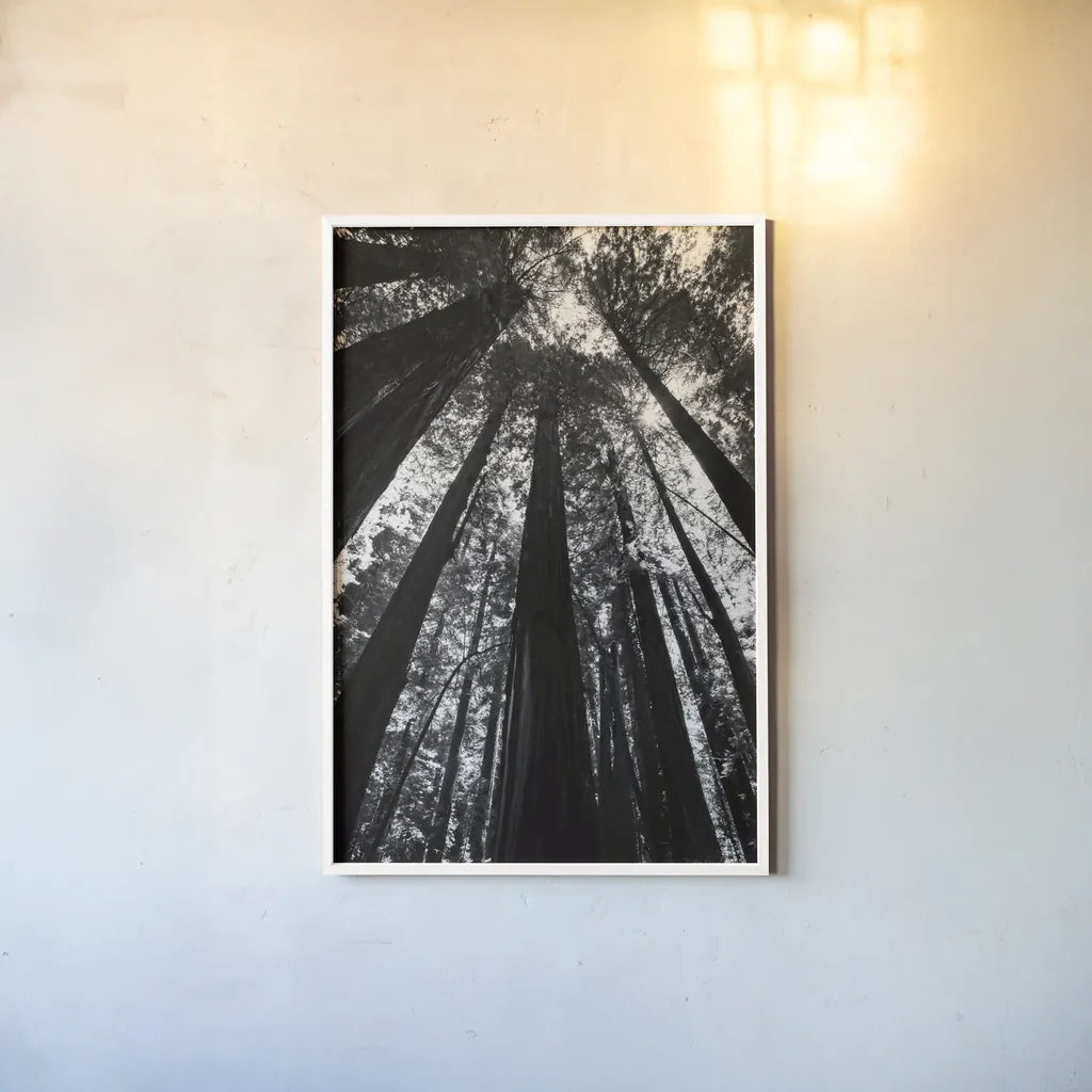 The Stand BW by Debra Van Swearingen. shown as a paper print in a white frame. Available as a archival giclee rolled canvas, fine art paper, or poster print. SKU 55173h.