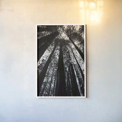 The Stand BW by Debra Van Swearingen. shown as a paper print in a white frame. Available as a archival giclee rolled canvas, fine art paper, or poster print. SKU 55173h.