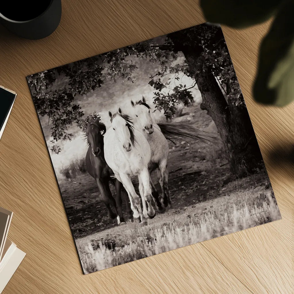 Three Wild Horses Sepia Crop by Debra Van Swearingen. Shown as a detailed flat fine art print, highlighting archival giclee quality. Available as an archival giclee rolled canvas, fine art paper, or poster print. SKU 52847a.