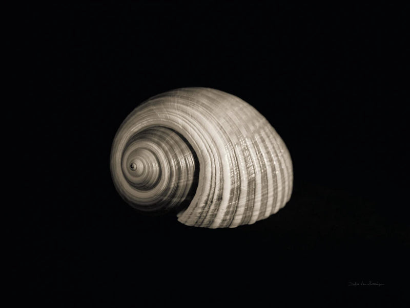 Tonna by Debra Van Swearingen