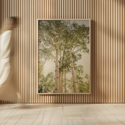 Towering Aspens I by Debra Van Swearingen. shown as over sized large wall art. Available as an archival giclee rolled canvas, fine art paper, or poster print. SKU 82782h.