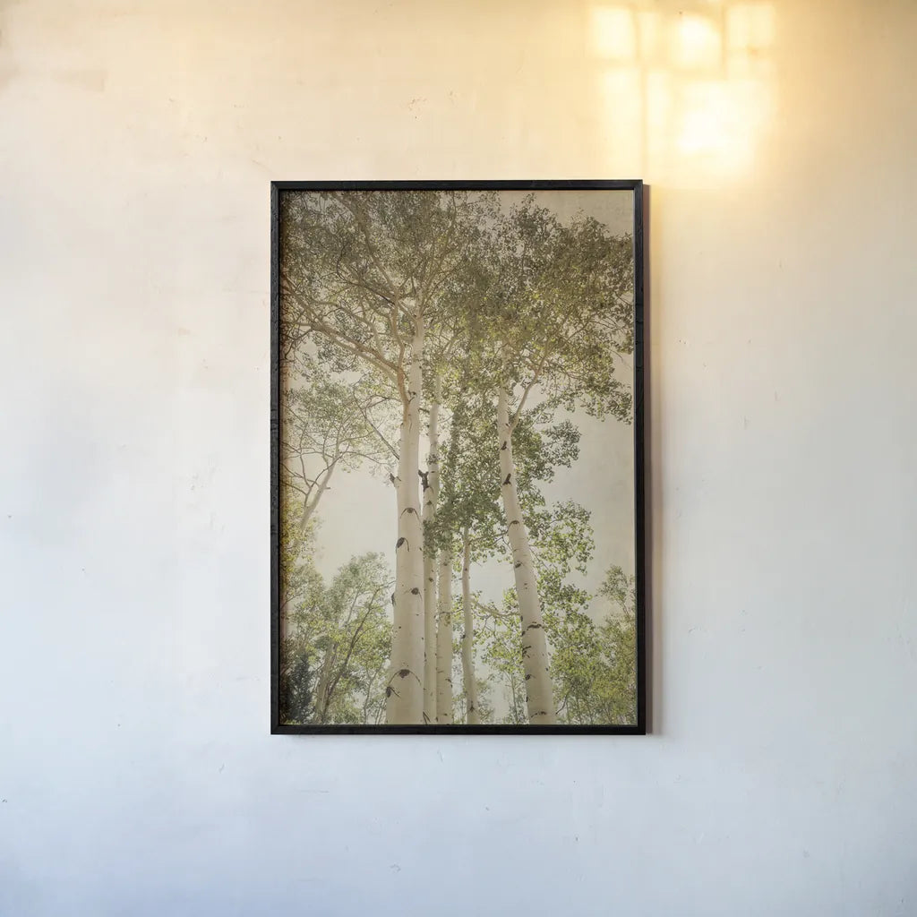 Towering Aspens I by Debra Van Swearingen. shown as a paper print in a black flame. Available as a archival giclee rolled canvas, fine art paper, or poster print. SKU 82782h.