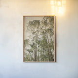 Towering Aspens II by Debra Van Swearingen. shown as a paper print in a natural frame. Available as a archival giclee rolled canvas, fine art paper, or poster print. SKU 82783h.