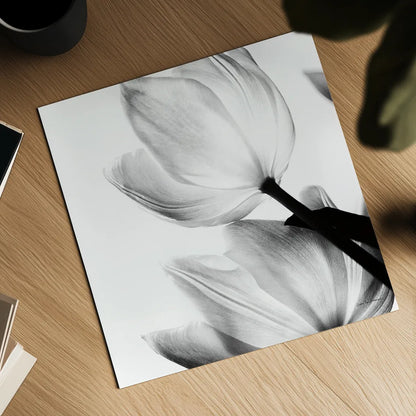 Translucent Tulips II Crop by Debra Van Swearingen. Shown as a detailed flat fine art print, highlighting archival giclee quality. Available as an archival giclee rolled canvas, fine art paper, or poster print. SKU 16795a.