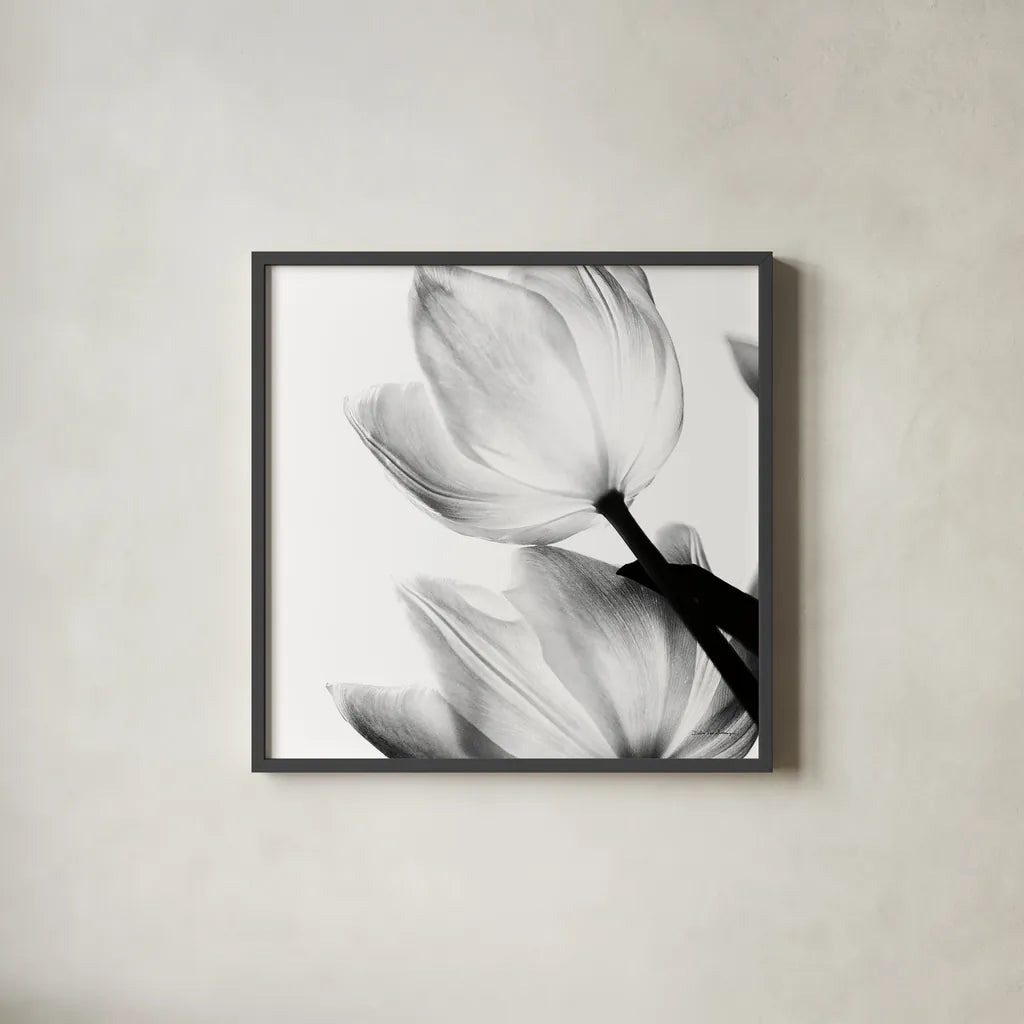 Translucent Tulips II Crop by Debra Van Swearingen. Shown in a sleek black glass frame for a contemporary gallery look. Available as an archival giclee rolled canvas, fine art paper, or poster print. SKU 16795a.