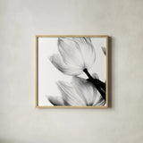 Translucent Tulips II Crop by Debra Van Swearingen. Shown in a natural wood glass frame for a timeless modern aesthetic. Available as an archival giclee rolled canvas, fine art paper, or poster print. SKU 16795a.