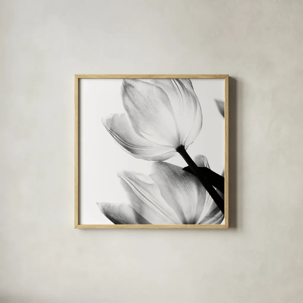 Translucent Tulips II Crop by Debra Van Swearingen. Shown in a natural wood glass frame for a timeless modern aesthetic. Available as an archival giclee rolled canvas, fine art paper, or poster print. SKU 16795a.