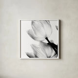 Translucent Tulips II Crop by Debra Van Swearingen. Shown in a crisp white glass frame for a clean and minimalist style. Available as an archival giclee rolled canvas, fine art paper, or poster print. SKU 16795a.