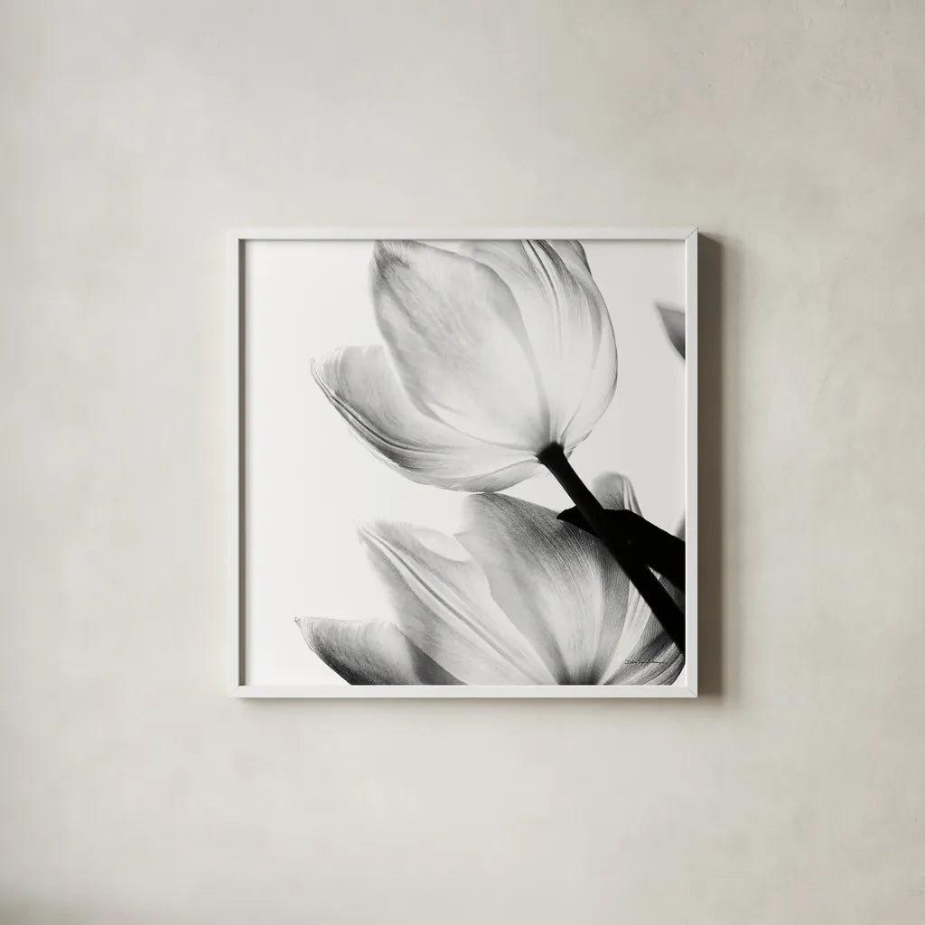 Translucent Tulips II Crop by Debra Van Swearingen. Shown in a crisp white glass frame for a clean and minimalist style. Available as an archival giclee rolled canvas, fine art paper, or poster print. SKU 16795a.