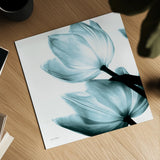 Translucent Tulips II Sq Aqua Crop by Debra Van Swearingen. Shown as a detailed flat fine art print, highlighting archival giclee quality. Available as an archival giclee rolled canvas, fine art paper, or poster print. SKU 28921a.