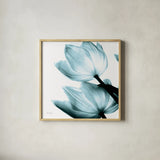 Translucent Tulips II Sq Aqua Crop by Debra Van Swearingen. Shown in a natural wood glass frame for a timeless modern aesthetic. Available as an archival giclee rolled canvas, fine art paper, or poster print. SKU 28921a.