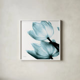 Translucent Tulips II Sq Aqua Crop by Debra Van Swearingen. Shown in a crisp white glass frame for a clean and minimalist style. Available as an archival giclee rolled canvas, fine art paper, or poster print. SKU 28921a.