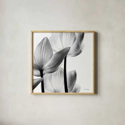 Translucent Tulips III Crop by Debra Van Swearingen. Shown in a natural wood glass frame for a timeless modern aesthetic. Available as an archival giclee rolled canvas, fine art paper, or poster print. SKU 16796a.