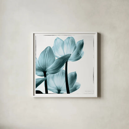 Translucent Tulips III Sq Aqua by Debra Van Swearingen. Shown in a crisp white glass frame for a clean and minimalist style. Available as an archival giclee rolled canvas, fine art paper, or poster print. SKU 26169a.