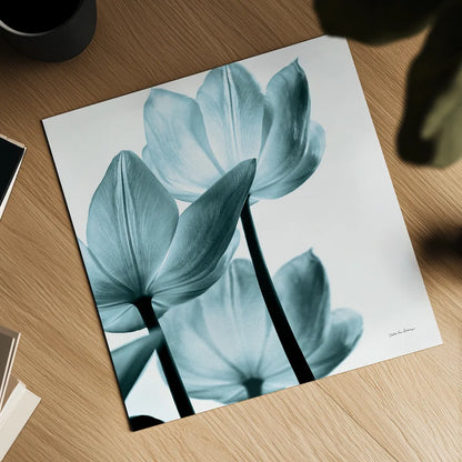 Translucent Tulips III Sq Aqua Crop by Debra Van Swearingen. Shown as a detailed flat fine art print, highlighting archival giclee quality. Available as an archival giclee rolled canvas, fine art paper, or poster print. SKU 28922a.