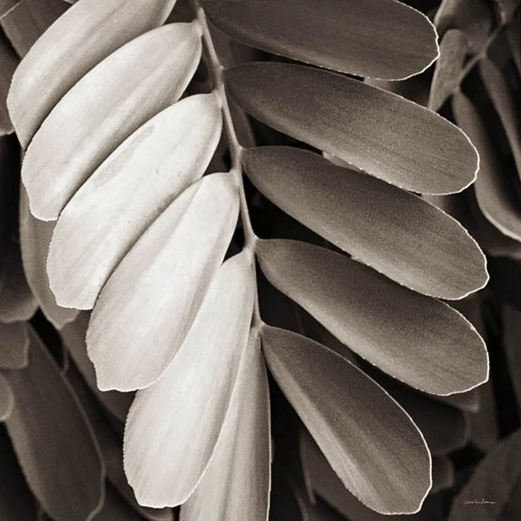 Tropical Plant I Crop by Debra Van Swearingen. SKU 23499a. Archival Giclee Fine art print for wall decor.