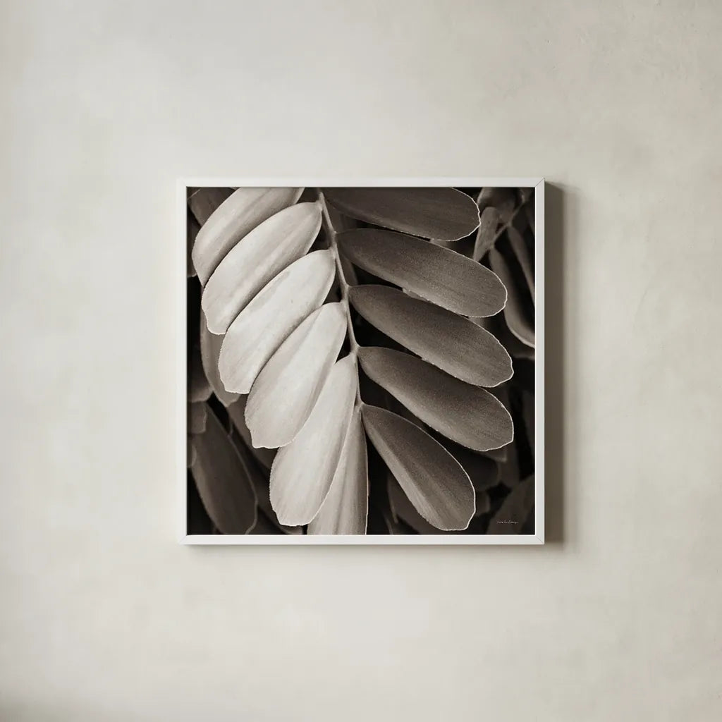 Tropical Plant I Crop by Debra Van Swearingen. Shown in a crisp white glass frame for a clean and minimalist style. Available as an archival giclee rolled canvas, fine art paper, or poster print. SKU 23499a.