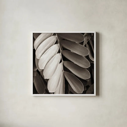 Tropical Plant I Crop by Debra Van Swearingen. Shown in a crisp white glass frame for a clean and minimalist style. Available as an archival giclee rolled canvas, fine art paper, or poster print. SKU 23499a.