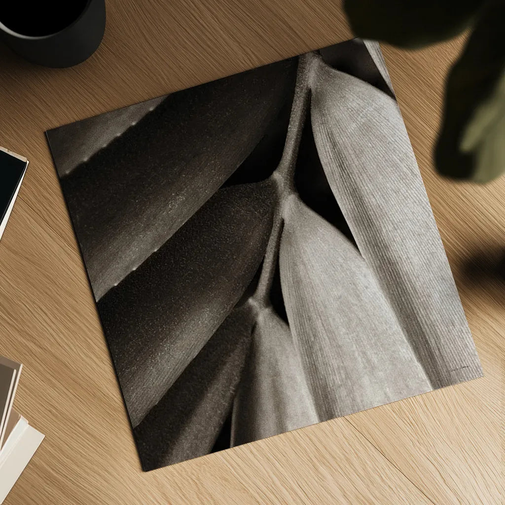 Tropical Plant II Crop by Debra Van Swearingen. Shown as a detailed flat fine art print, highlighting archival giclee quality. Available as an archival giclee rolled canvas, fine art paper, or poster print. SKU 23500a.