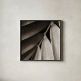 Tropical Plant II Crop by Debra Van Swearingen. Shown in a sleek black glass frame for a contemporary gallery look. Available as an archival giclee rolled canvas, fine art paper, or poster print. SKU 23500a.